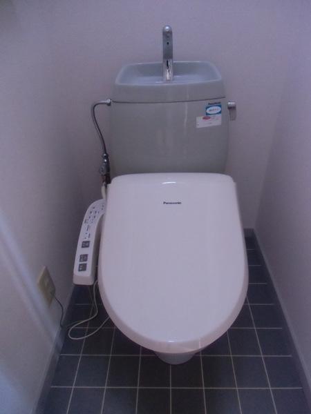 Toilet. Bidet