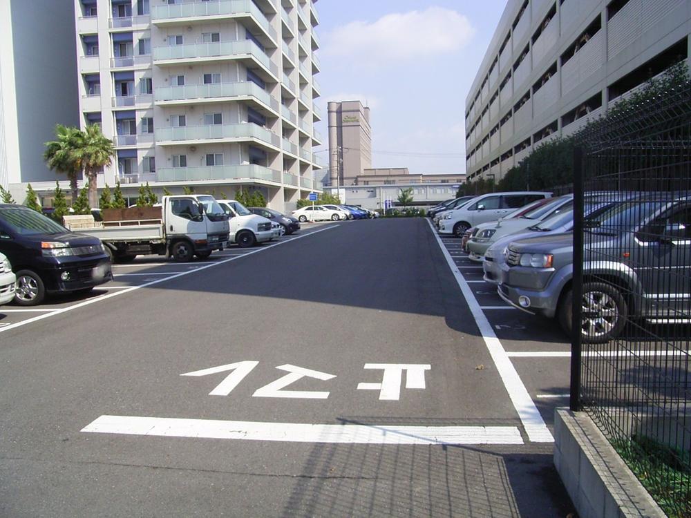 Parking lot. Common areas