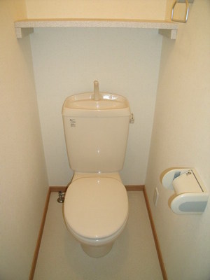 Toilet. WC shelf