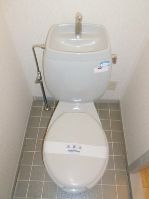 Toilet. Standard toilets