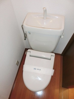 Toilet. Toilet