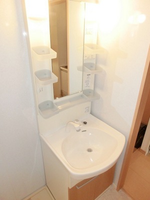 Washroom. Bathroom Vanity