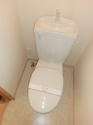 Toilet. Toilet