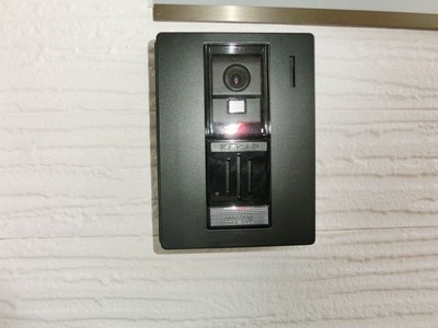 Security. Intercom with TV monitor.