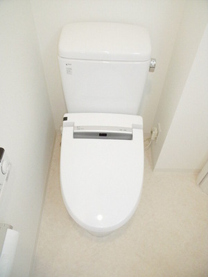 Toilet. Toilet with a bidet