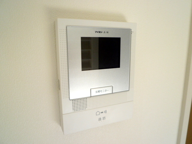 Security. TV monitor phone