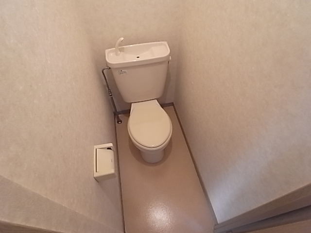 Other. It is a toilet with a clean