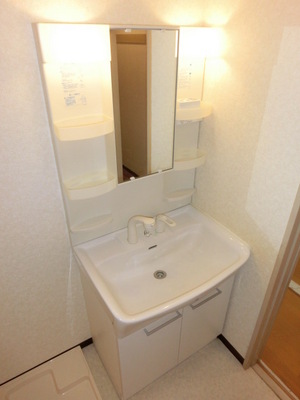 Washroom. Shampoo dresser