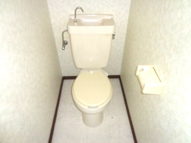 Toilet. Western-style toilet