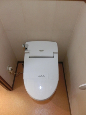 Toilet. Toilet