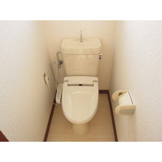 Living and room. With warm water washing toilet seat