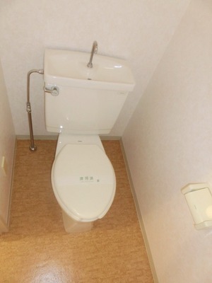 Toilet. Toilet