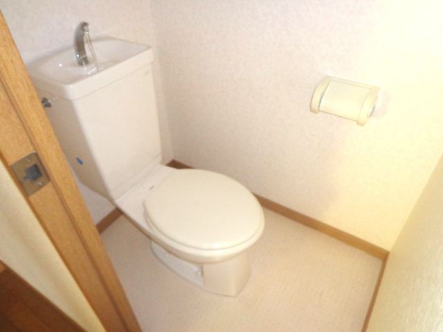 Toilet. Western-style toilet