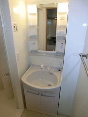 Washroom. Shampoo dresser with separate wash basin