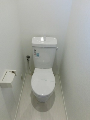 Toilet. Clean toilet