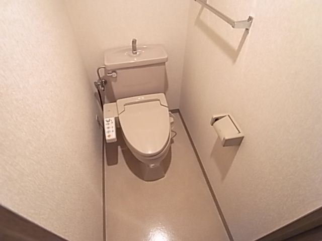 Other. It comes to Washlet in restroom! 