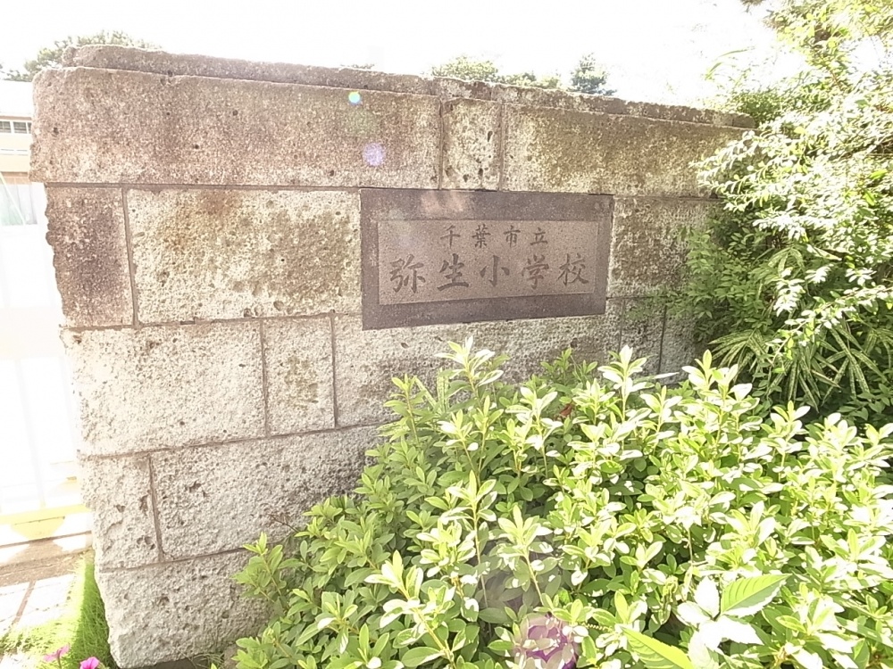 Primary school. 718m until the Chiba City Museum of Yayoi elementary school (elementary school)