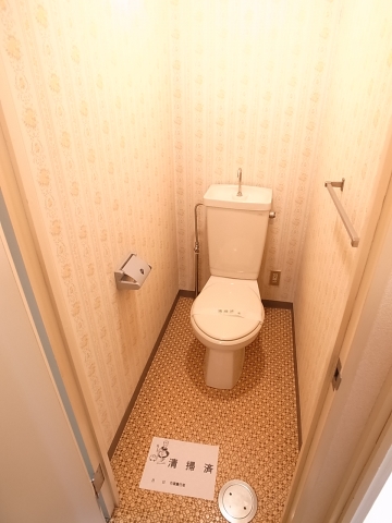 Toilet. Restroom general water washing type. (It is a photograph of the same building 218, Room)