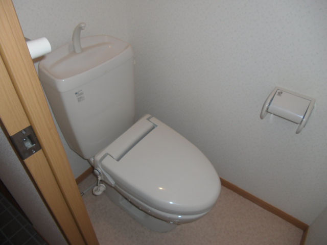 Toilet. It comes with a heating toilet seat!