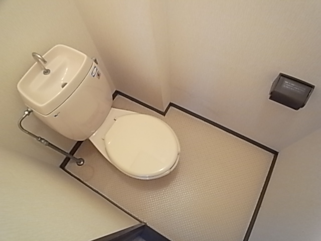 Other. It is a toilet with a clean