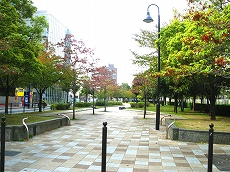 park. 387m to Shinjuku green road (park)