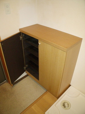 Entrance. Cupboard