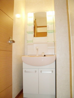 Washroom. Shampoo is Dresser