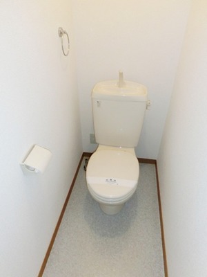 Toilet. I toilets are simple.