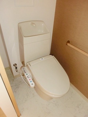 Toilet. Toilet with warm water washing toilet seat