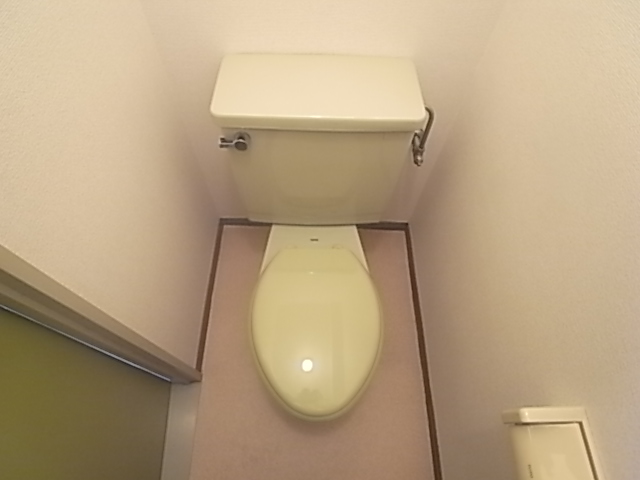 Other. It is a toilet with a clean