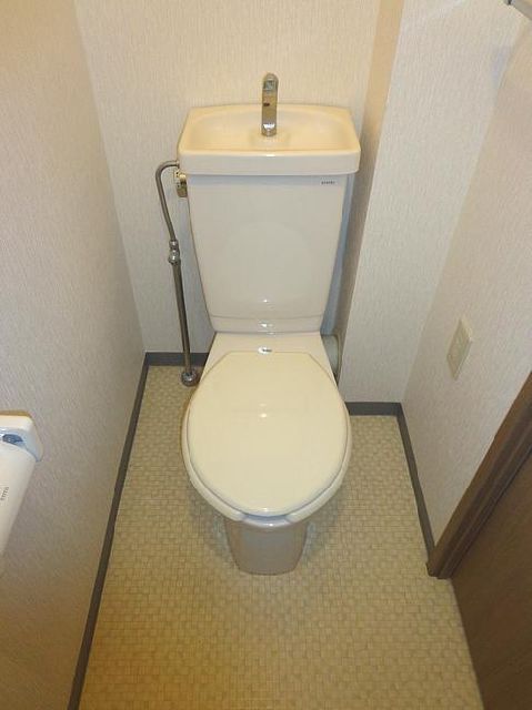 Toilet. It is Western-style restroom.