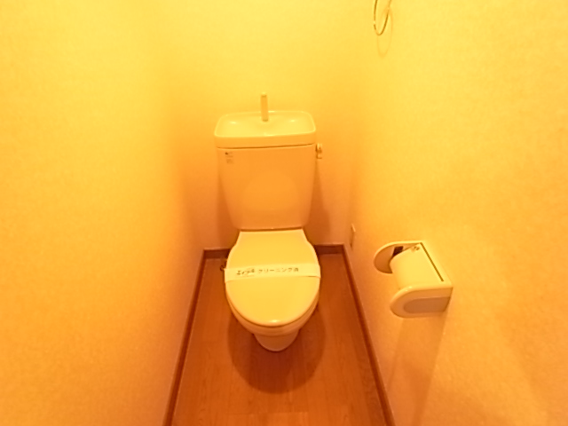 Other. Beautiful toilet ☆