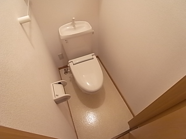 Other. It is a toilet with a clean