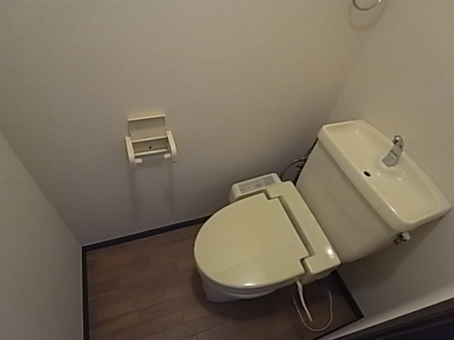 Other. Toilet is clean ☆