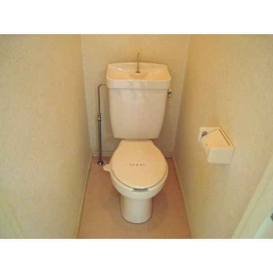 Toilet. Toilet Separate