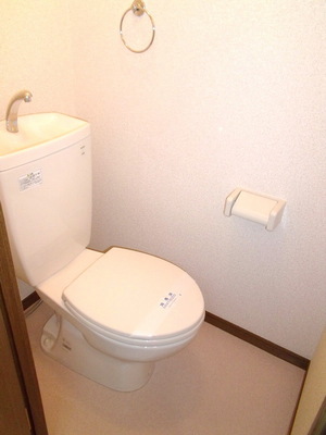 Toilet. Separate toilet