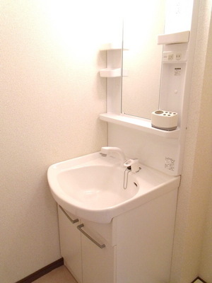 Washroom. Shampoo dresser with separate wash basin