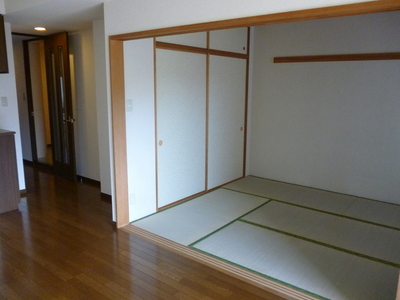 Living and room. Typical indoor photo. Plenty of Japanese-style Yes closet Maeru.