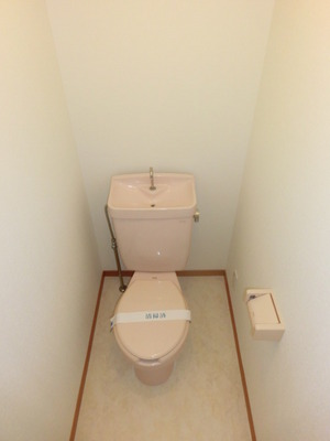 Toilet. Washlet mounting possible (same type)