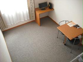 Living and room. Furnished consumer electronics in the carpet specification