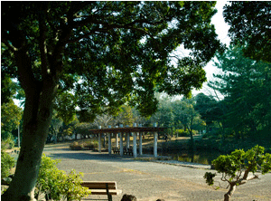 Surrounding environment. Masago Central Park (about 670m)