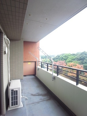 Balcony. Typical indoor photo Southwest-facing balcony.