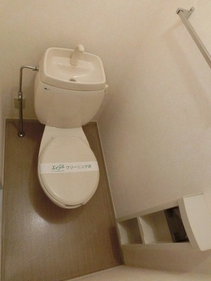 Toilet. Toilet