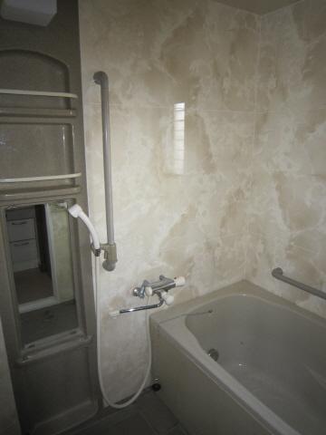 Bathroom. Indoor (February 2013) Shooting