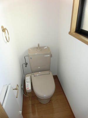 Toilet. Toilet with a bidet