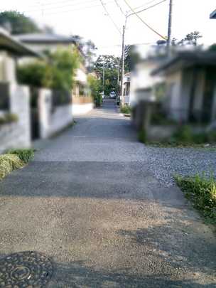 Local appearance photo. State of the front road