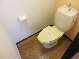 Toilet. Toilet is the color cross specification! !