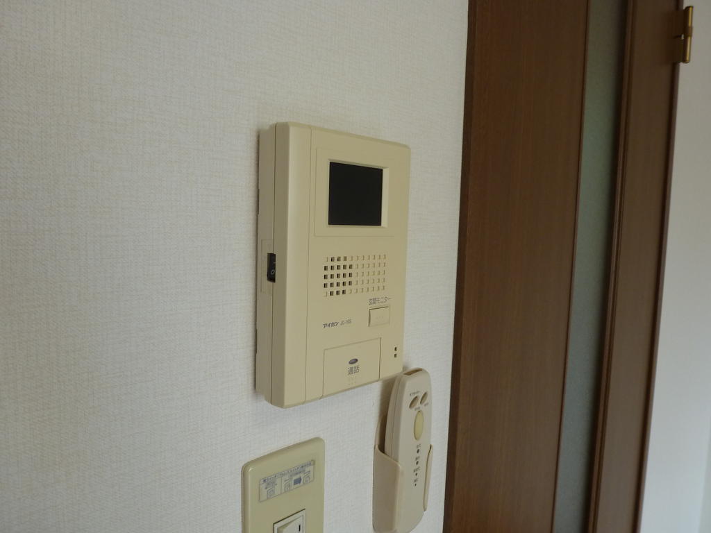 Security. Monitor with intercom