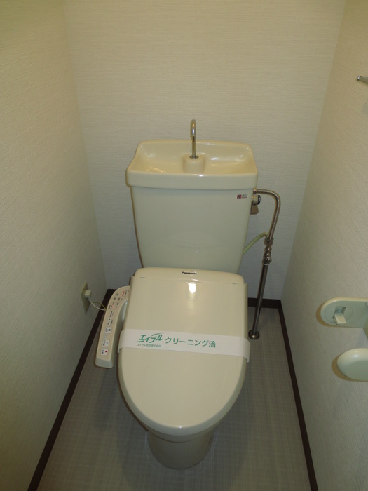 Toilet. Bidet