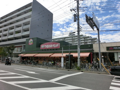 Supermarket. Tsurukame 560m to land (Super)